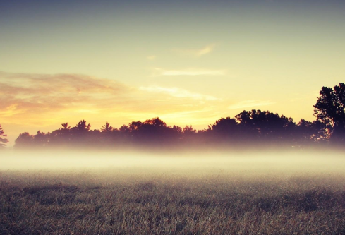 1694883650776453.png image.png