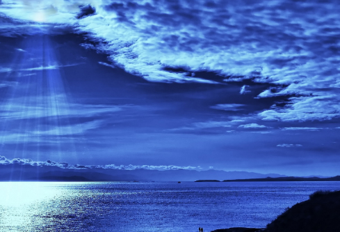 1694884812659042.png image.png