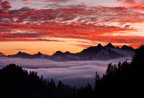 1694885145211668.png image.png