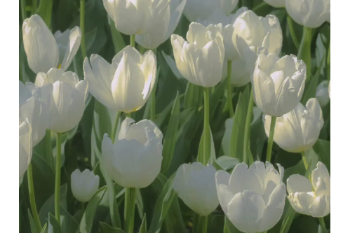 1694885644181086.png image.png