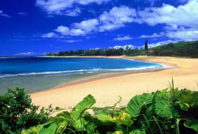 ​砂锅店聚财的名字大全 砂锅店取名字 个性又好听