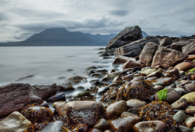 ​公司起名高端名字参考260个，集团公司取名字大全高端大气