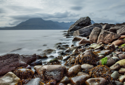 1694894343959660.png image.png