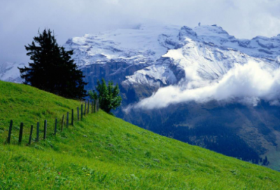 ​潮流时尚的机电公司名字330个，机电公司起名字大全集参考