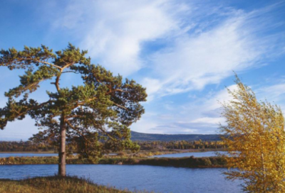 ​好听的装饰公司名字大全306个，独特大气的装修公司名字