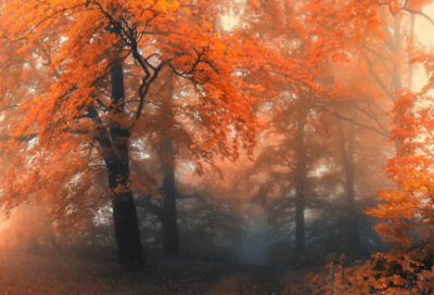 ​汉堡店取名字大全 汉堡店名字 时尚 有创意