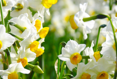 ​有创意的甜品店名字 好听独特的甜品店名字