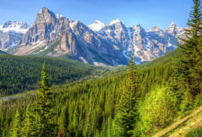 ​有创意的海鲜店名296个，海鲜店名字大全好听创意