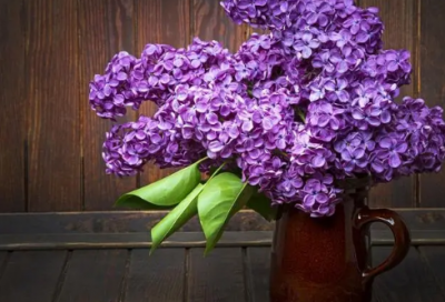 ​最吉利好听的建材公司名字276个，建材公司取名字参考大全