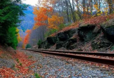 ​独特大气的服装店铺名字636个，开个服装店取什么名字好