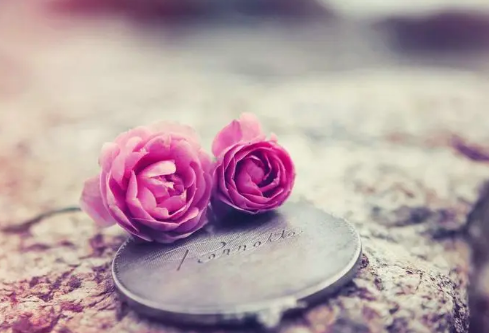 1704832423557356.png image.png