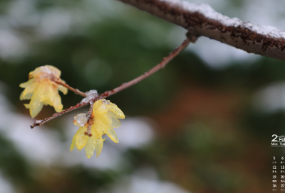 ​最新的个性伤感男生网名(共644个)