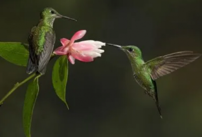 ​悲伤到无处发泄的伤感昵称(635个)