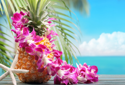 1704840715822648.png image.png