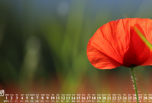 1704840881117681.png image.png