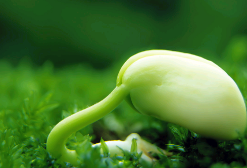 1704845028399455.png image.png