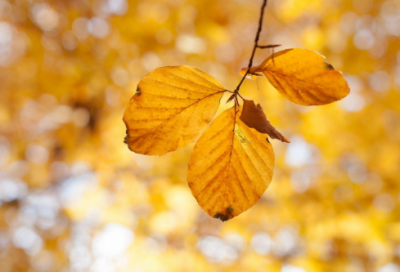 ​心情不好的伤感女生网名(优选498个)