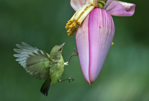 1704847516845724.png image.png