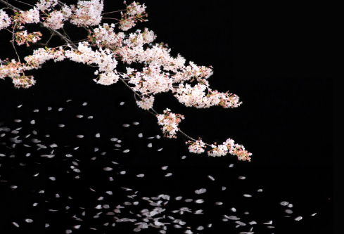 1704850169468247.png image.png