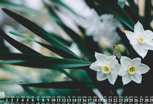 1704863771397986.png image.png