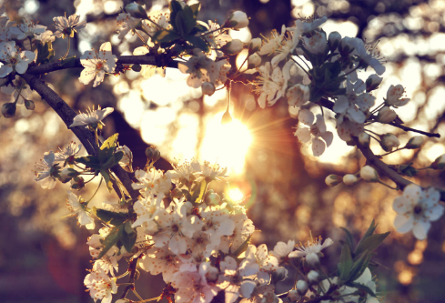 1704864435591577.png image.png