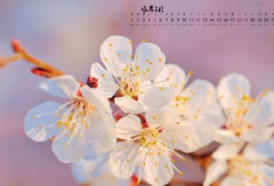 ​最潮的伤感繁体字网名大全(共108个)