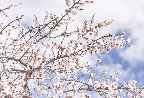 1704906913149250.png image.png