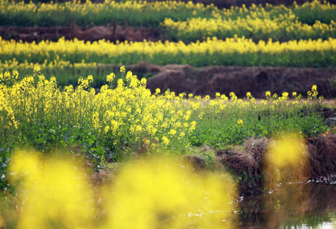 1704908570818059.png image.png