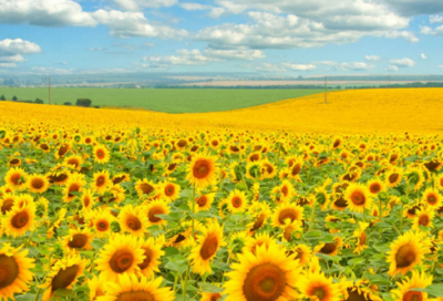 ​繁体字网名伤感带符号(优选99个)