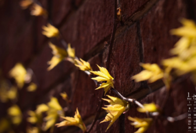 ​古风伤感孤独霸气网名男生网名(精选102个)