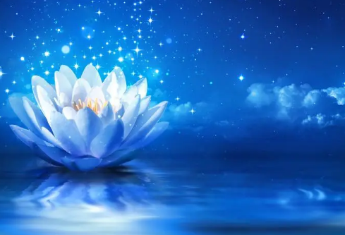 1704910723341145.png image.png