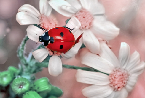 1704911055976800.png image.png