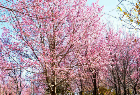 1704911386454015.png image.png