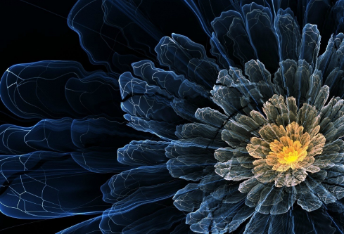 1704911552652486.png image.png