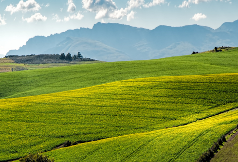 1704911883611366.png image.png