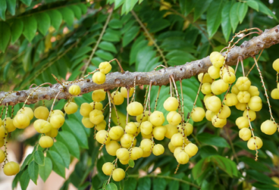 ​简单伤感的qq网名关于爱情(共96个)