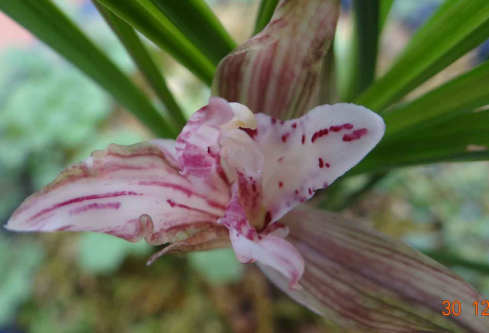 1704912380705948.png image.png