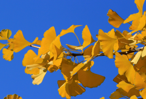 1704912546427597.png image.png