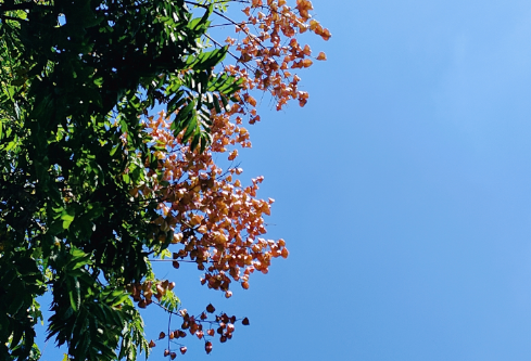 1704913375202084.png image.png