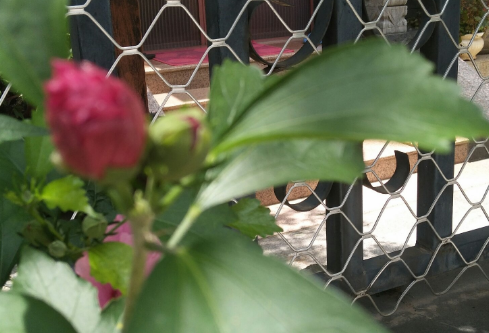 1704913540675124.png image.png