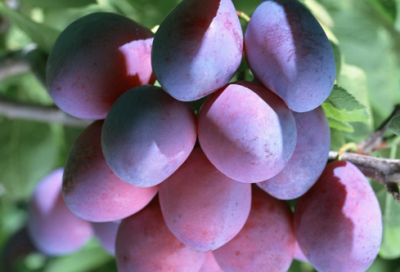 ​7个字的伤感网名(共71个)