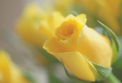 1704914203486107.png image.png