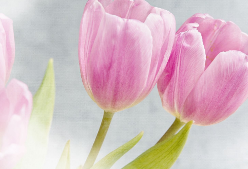 1704914700319658.png image.png