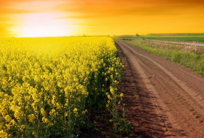 ​伤感网名符号大全(83个)