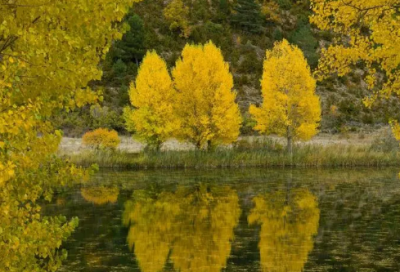 ​找个有诗意伤感网名(共91个)