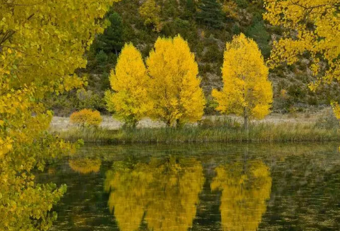 1704915031808147.png image.png