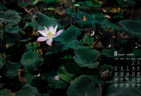 1704915197488830.png image.png