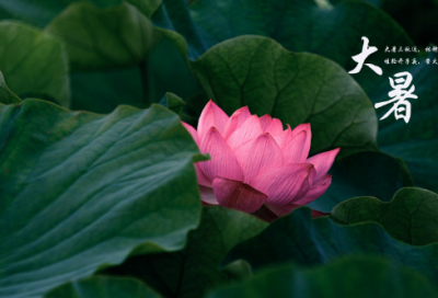 ​伤感女生简单四字网名(优选78个)