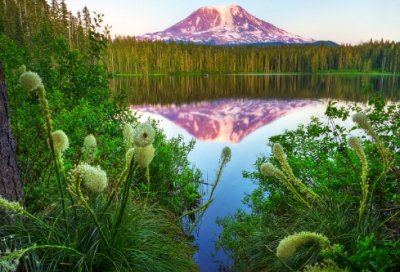 ​95后伤感网名大全(精选67个)