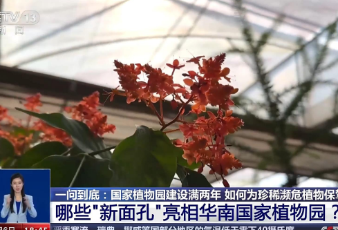 1704919838610701.png image.png